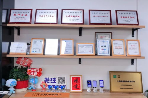 創新發展看楊浦 思偉軟件深耕工業軟件，讓每方混凝土都閃耀科技之光