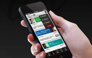 明星天價出場費與軟件開發的跨界思考